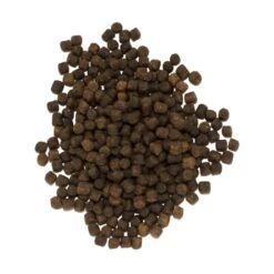 DE HENGELSHOP Purple Pellets - 1kg -Winkel Voor Visbenodigdheden de hengelshop purple pellets 1kg pellets 2