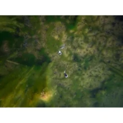 FOX EDGES™ Zig Float Kit 17 FOX EDGES™ Zig Float Kit -Winkel Voor Visbenodigdheden fox edgestm zig float kit cac753 accessoires en toebehoren 5