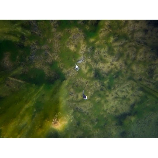 FOX EDGES™ Zig Float Kit 6 FOX EDGES™ Zig Float Kit - Afbeelding 6