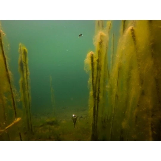 FOX EDGES™ Zig Float Kit 7 FOX EDGES™ Zig Float Kit - Afbeelding 7