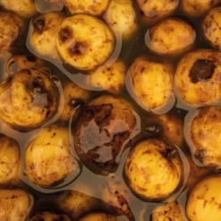 NASH Sweet Tiger Nuts -Winkel Voor Visbenodigdheden nash sweet tiger nuts b0102 b0112 particles 2