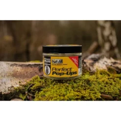 SOLAR Perfect Pop-Ups Pineapple Plus