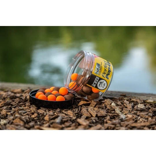 SOLAR Perfect Pop-Ups TUNAMINO & E12 1 SOLAR Perfect Pop-Ups TUNAMINO & E12