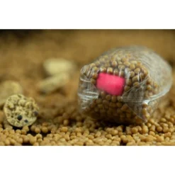 STICKY BAITS Buchu-Berry Wafters 16mm -Winkel Voor Visbenodigdheden sticky baits buchu berry wafters 16mm bucw hookbaits 3